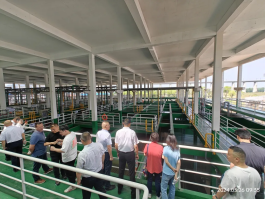 利来囯际·w66(中国)最老牌官方网站