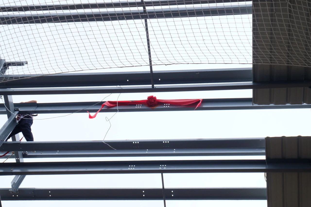 利来囯际·w66(中国)最老牌官方网站